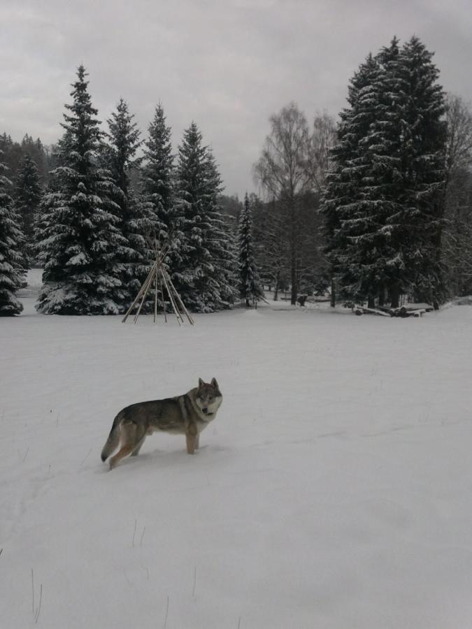 Hotel Ceska Farma Dolni Dvur 外观 照片