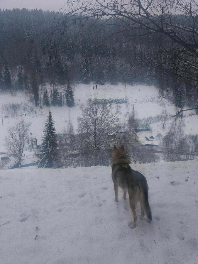 Hotel Ceska Farma Dolni Dvur 外观 照片